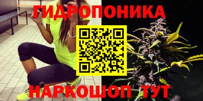 apvp Рыбинск