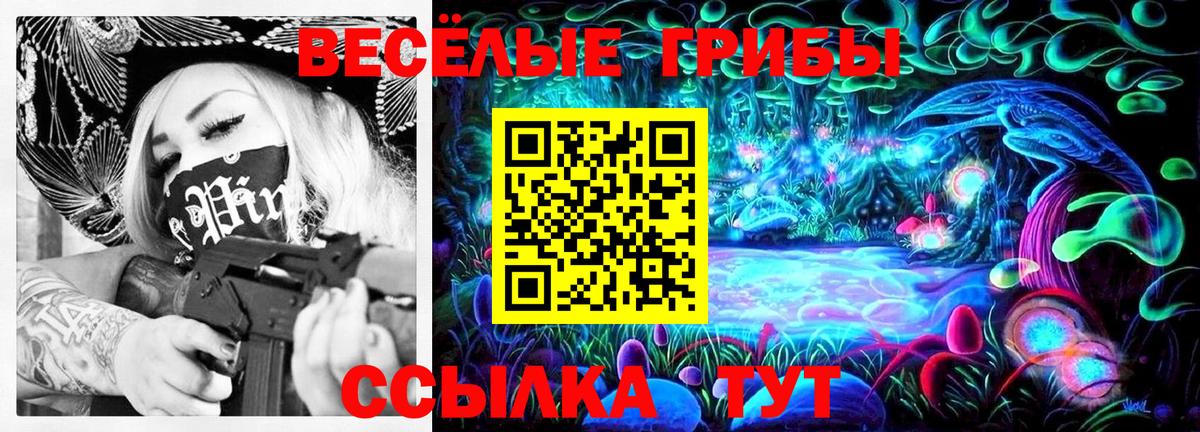 Псилоцибиновые грибы Cubensis Россия